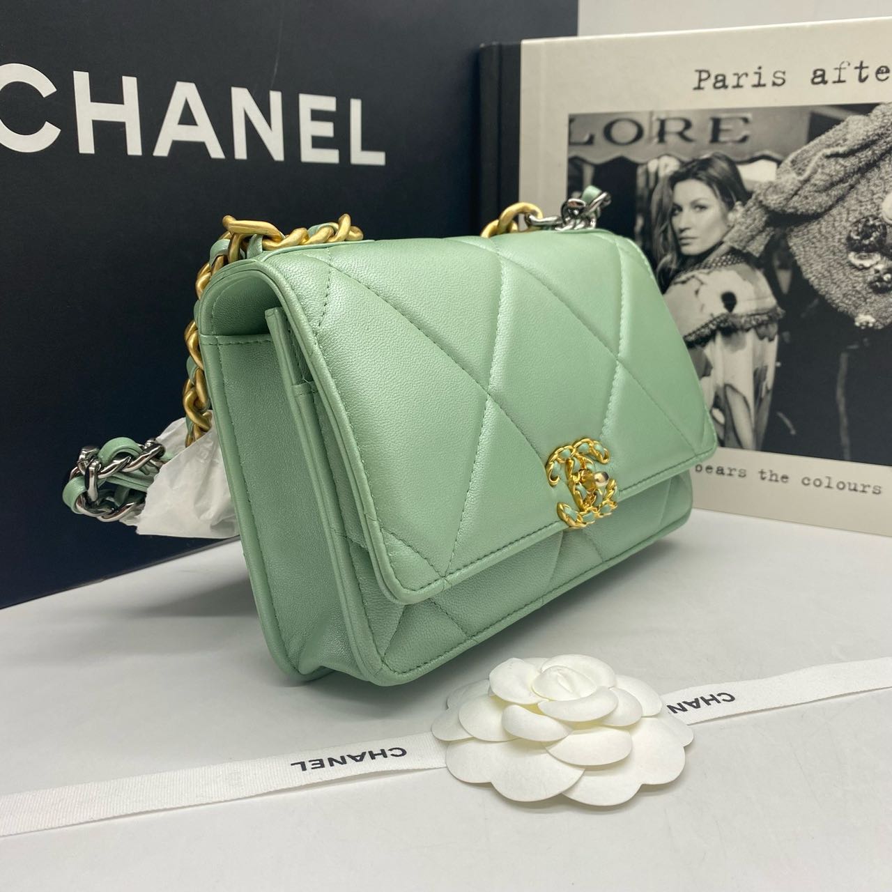 Pre-owned Certified Chanel 19 Wallet on Chain in Green Lambskin with Golden Hardware, 2023 Microchipped, w/ full set