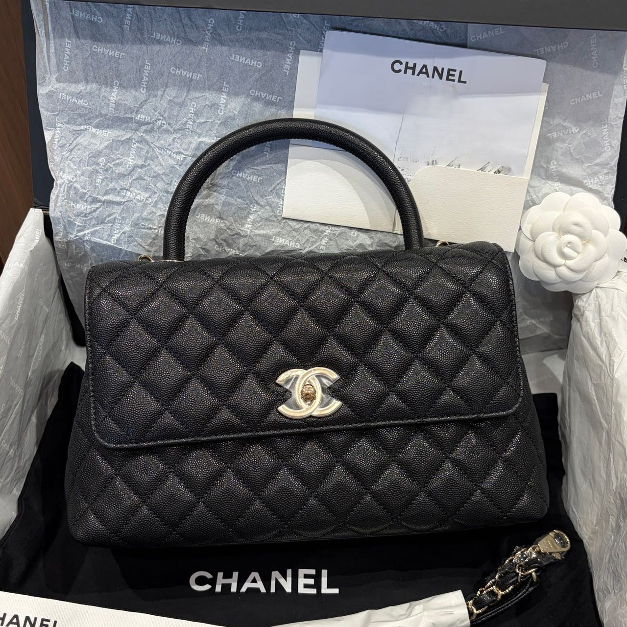 Pre-owned Certified Chanel Medium Coco Handle in Black Caviar Leather with Golden Hardware, 2022 Microchipped, w/card, full set
