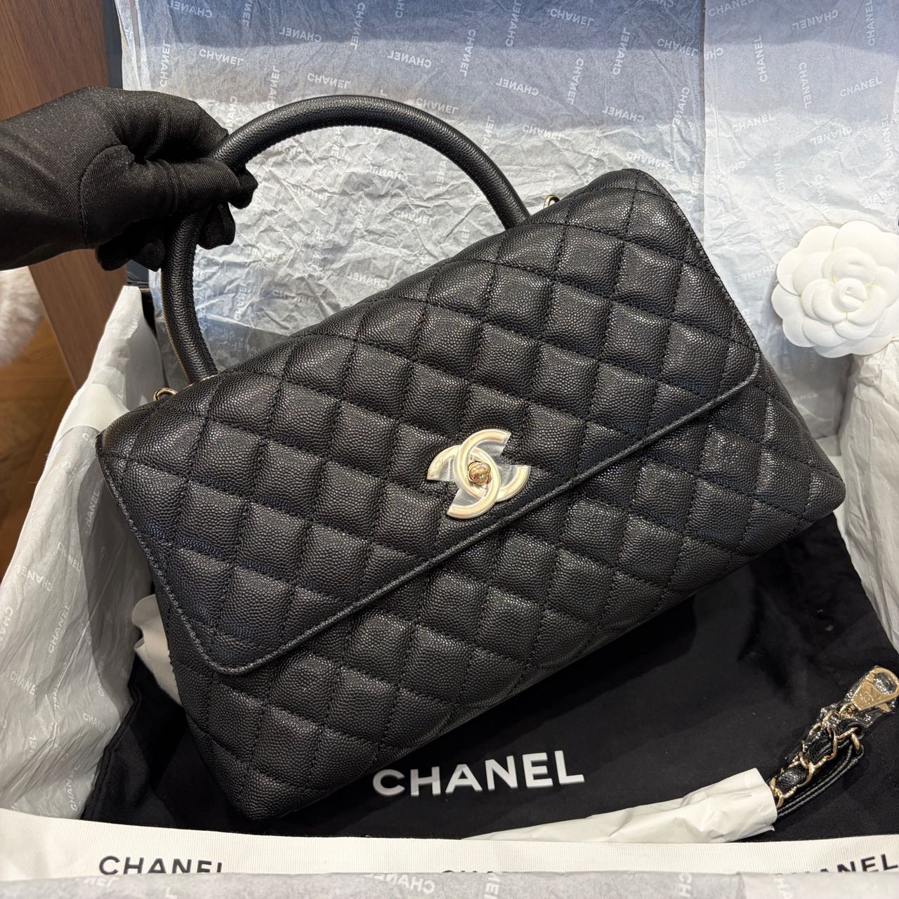 Pre-owned Certified Chanel Medium Coco Handle in Black Caviar Leather with Golden Hardware, 2022 Microchipped, w/card, full set